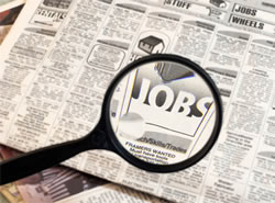 Windows 7 Jobs, Jobs Windows 7, Microsoft jobs, jobs Microsoft, microsoft employment, Windows 7 employment