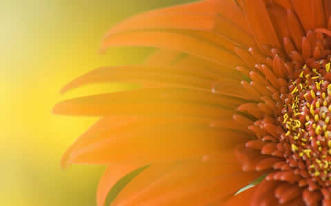 Windows 7 Wallpaper, Wallpaper Windows 7, Wallpapers Windows 7, Windows 7 Wallpapers