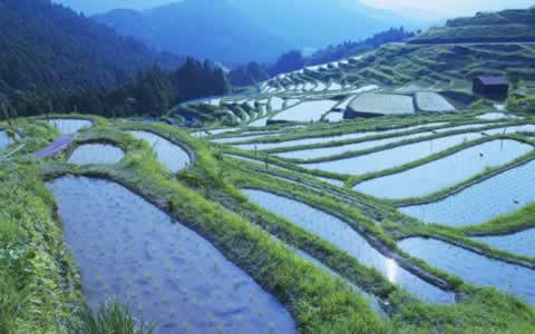 Windows 7 regional Wallpaper pack Japan