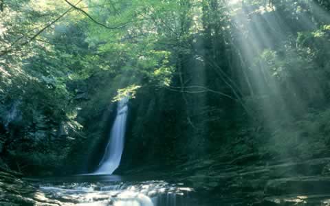 Windows 7 regional Wallpaper pack Japan