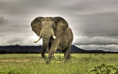 Windows 7 regional Wallpaper pack South Africa