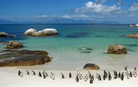 Windows 7 regional Wallpaper pack South Africa
