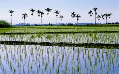Windows 7 regional wallpaper pack-Taiwan