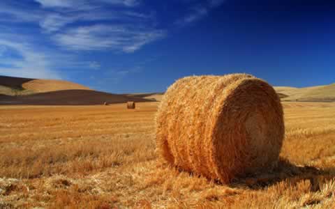 Windows 7 regional Wallpaper pack USA