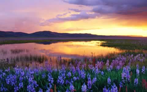 Windows 7 regional Wallpaper pack USA