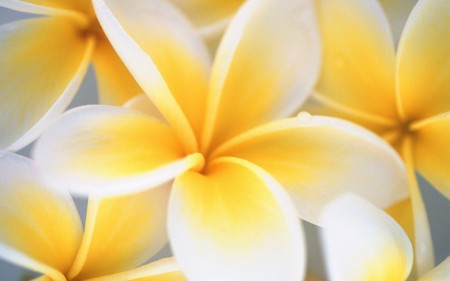 Windows 7 Wallpaper, Wallpaper Windows 7, Wallpapers Windows 7, Windows 7 Wallpapers
