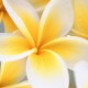 Windows 7 Build 7000 Wallpaper Page 3, Wallpapers Windows 7
