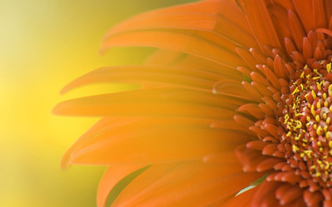 Windows 7 Build 7000 Wallpaper Page 3, Wallpapers Windows 7