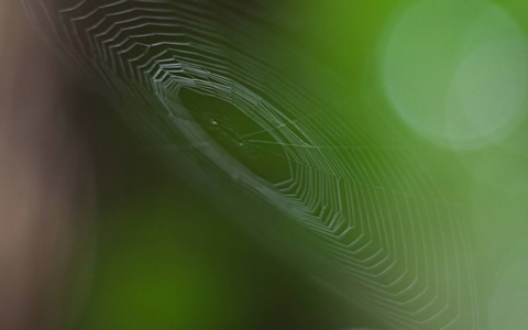 Windows 7 New Wallpapers Page 2, Wallpapers Windows 7 