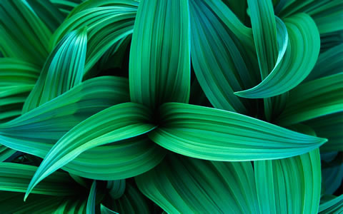 Windows RC1 7 Wallpaper, Wallpapers Windows 7