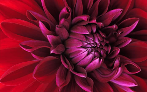 Windows RC1 7 Wallpaper, Wallpapers Windows 7