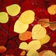 Windows RC1 7 Wallpaper Page 2, Wallpapers Windows 7