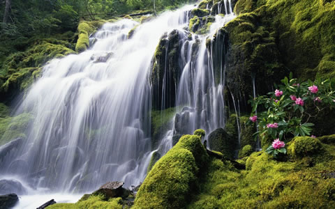 Windows RC1 7 Wallpaper Page 2, Wallpapers Windows 7
